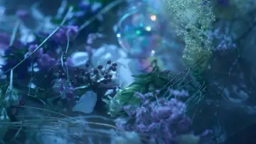 Zasłona do filmu "ミュージカル『刀剣乱舞』 髭切 単騎出陣 〜夢幻泡影〜" #777830