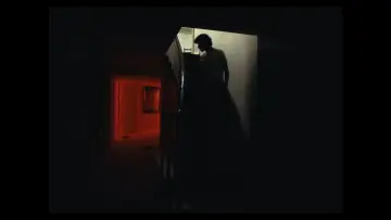 Zasłona do filmu "Absentia" #777348