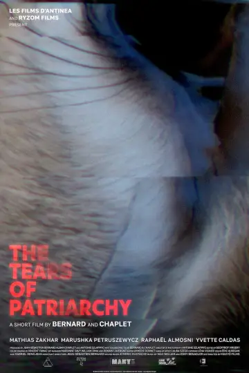 Plakat do filmu "Les Larmes du Patriarcat" #1530902