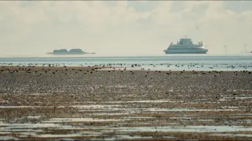 Zasłona do filmu "Föhr - 5 Meter über Null" #779113