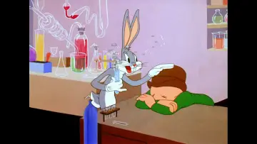 Zasłona do filmu "Looney Tunes Collector