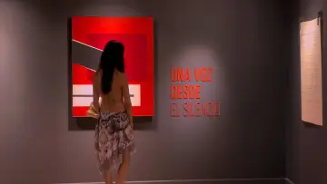 Zasłona do filmu "De las personas que sienten demasiado" #794785