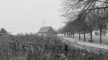 Zasłona do filmu "sie schaute in die ferne" #780941