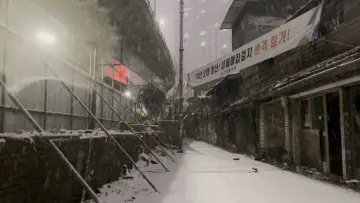 Zasłona do filmu "관리처분계획—미아리 텍사스 편" #790832