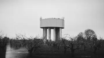 Zasłona do filmu "Terraforms" #782443