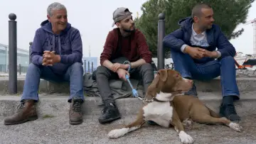 Zasłona do filmu "Μέρα με τη μέρα" #825597