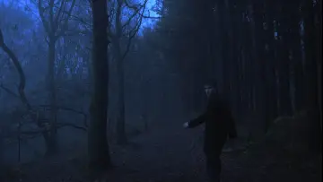 Zasłona do filmu "Waterfall" #802017