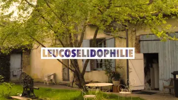 Zasłona do filmu "Leucosélidophilie" #794775