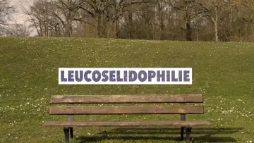 Zasłona do filmu "Leucosélidophilie" #794779