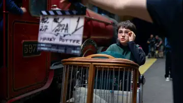 Zasłona do filmu "Finding Harry: The Craft Behind the Magic" #793995