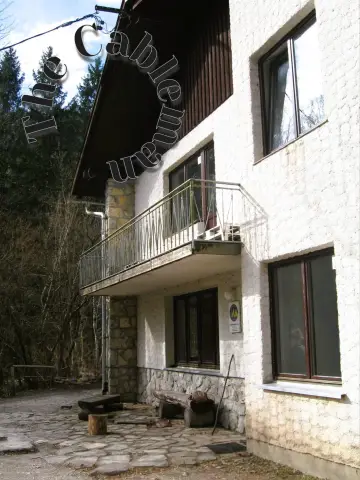 The Cableman