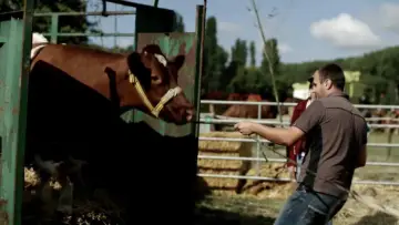 Zasłona do filmu "RN 72, à la conquête de l