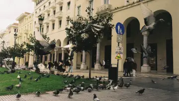 Zasłona do filmu "26.1.26" #1584892