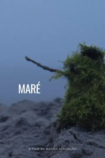 Plakat do filmu "Maré" #805740