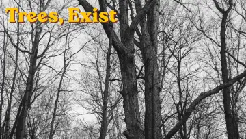 Zasłona do filmu "Trees, exist" #800075