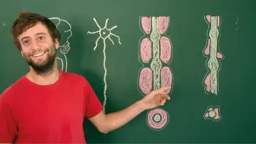 Zasłona do filmu "Toubib, 12 années dans la vie d