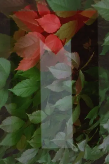 In Spite of Hell plakat