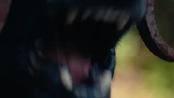 Zasłona do filmu "Biter" #1187028
