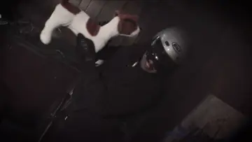 Zasłona do filmu "Double Fisted" #1147509