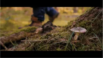 Zasłona do filmu "Smaragdil: L