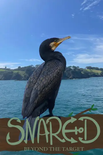 Plakat do filmu "Snared" #1647250