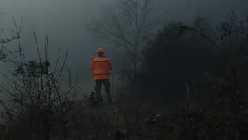 Zasłona do filmu "Bèstia" #851277