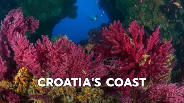 Zasłona do filmu "Croatias Coast - Endless and Wild" #1195132
