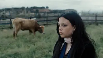 Zasłona do filmu "Tú, yo y la vaca" #1787619