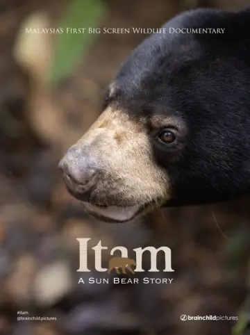 Plakat do filmu "Itam: A Sun Bear Story" #821404