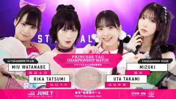 Zasłona do filmu "TJPW STAND ALONE 
