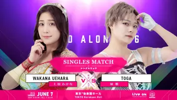 Zasłona do filmu "TJPW STAND ALONE 
