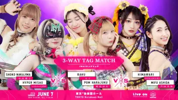 Zasłona do filmu "TJPW STAND ALONE 