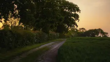 Zasłona do filmu "نور الشمس" #850556