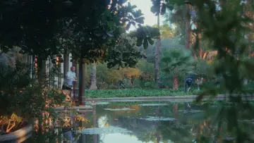 Zasłona do filmu "Le rose di Marrakech" #1896065