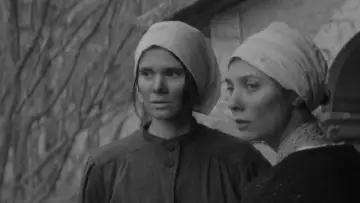 Zasłona do filmu "El Mazaròl" #824027