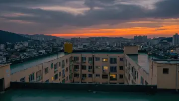 아파트