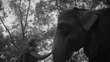 Zasłona do filmu "সাঁকোটা দুলছে" #915231