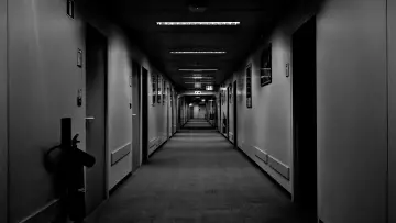 Zasłona do filmu "XYZ" #823866