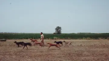 Zasłona do filmu "Тазы" #832398