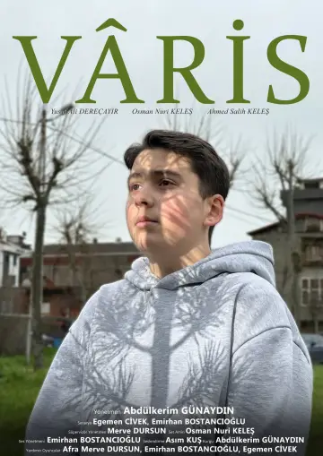 Plakat do filmu "Vâris" #850514