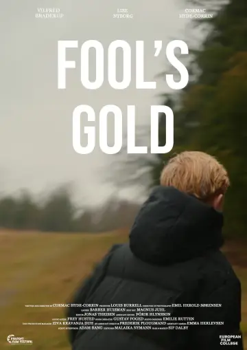 Plakat do filmu "Fool