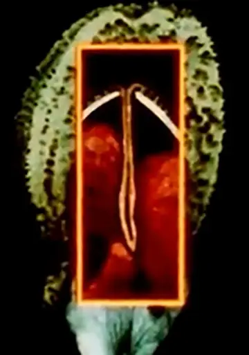 Plakat do filmu "Maternal Language Part 1: The Construction of Maternal Form & its Adaptation to Absent Sexual Vitality" #826060