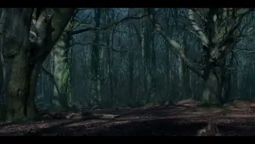 Zasłona do filmu "" #824712