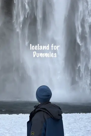 Plakat do filmu "Iceland for Dummies" #822917