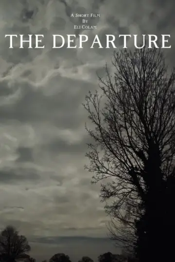 Plakat do filmu "The Departure" #823639