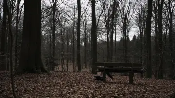 Zasłona do filmu "Interitus" #823695
