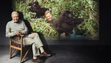 Zasłona do filmu "Making Life on Earth: Attenborough’s Greatest Adventure" #916408