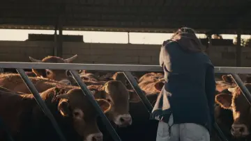 Zasłona do filmu "Pluvia" #823573