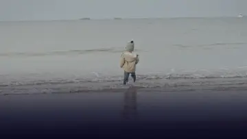 Zasłona do filmu "Marius et le bruit des vagues" #1639799