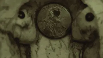 Zasłona do filmu "pennies" #826023